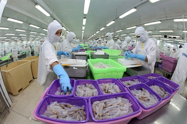 COVID-19 impact starts reflecting in seafood companies results from August: VDSC